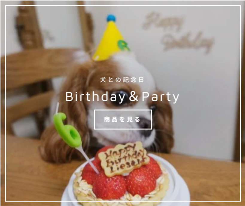 INUTO-イヌト-｜おそろいを楽しむペットグッズのセレクトショップ-–-INUTO（イヌト）-02-11-2026_04_11_PM