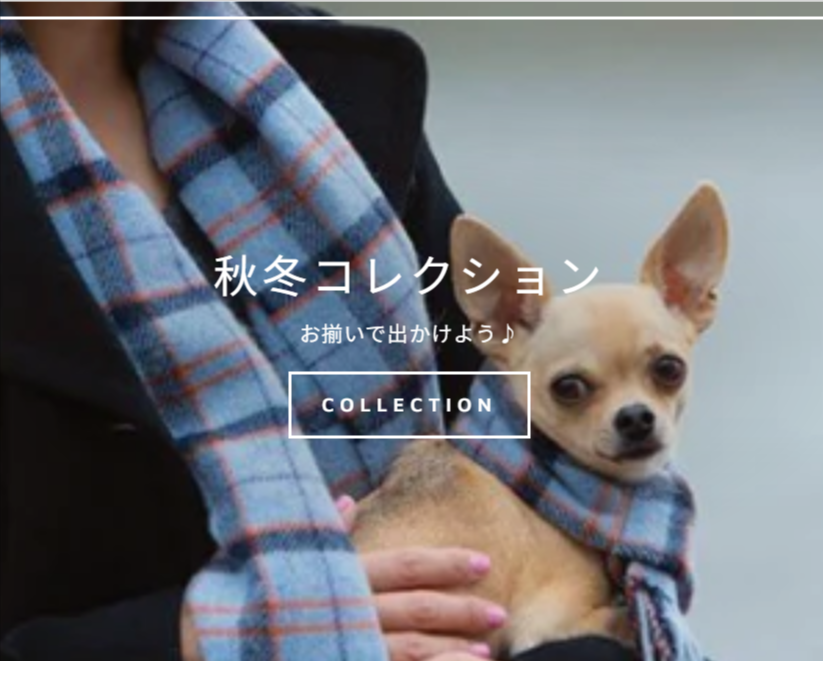 INUTO-イヌト-｜おそろいを楽しむペットグッズのセレクトショップ-–-INUTO（イヌト）-02-11-2026_04_14_PM