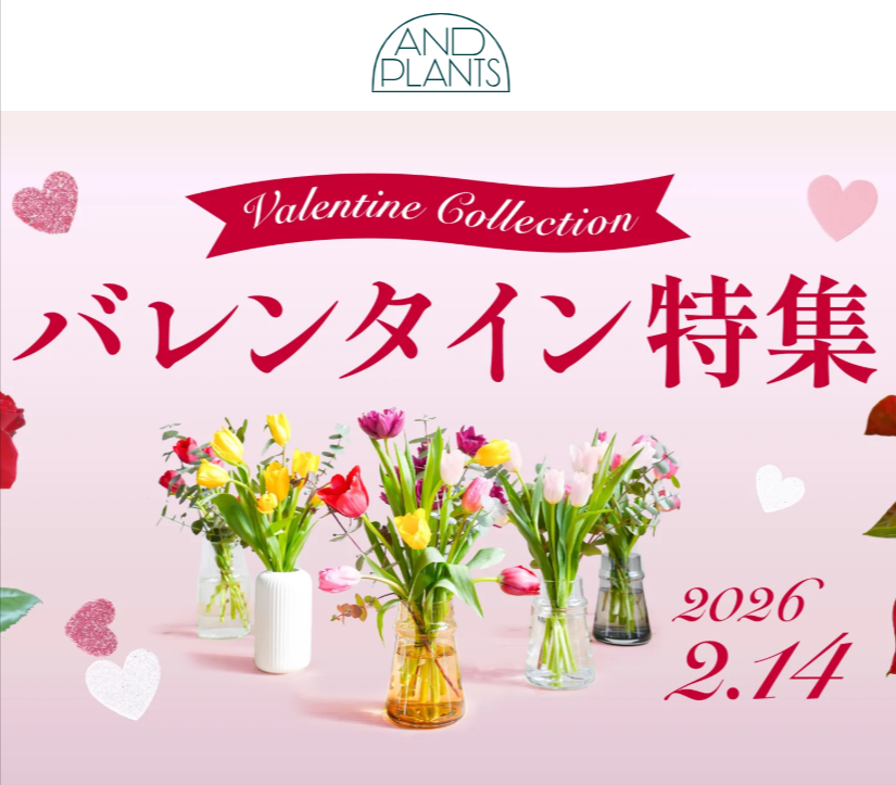 バレンタインのフラワーギフト特集ならお花の通販-アンドプランツ-02-05-2026_04_24_PM