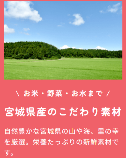 ファーストスプーンの想い-幼児食-離乳食の宅配ならファーストスプーン（first-spoon）-02-28-2026_03_40_PM